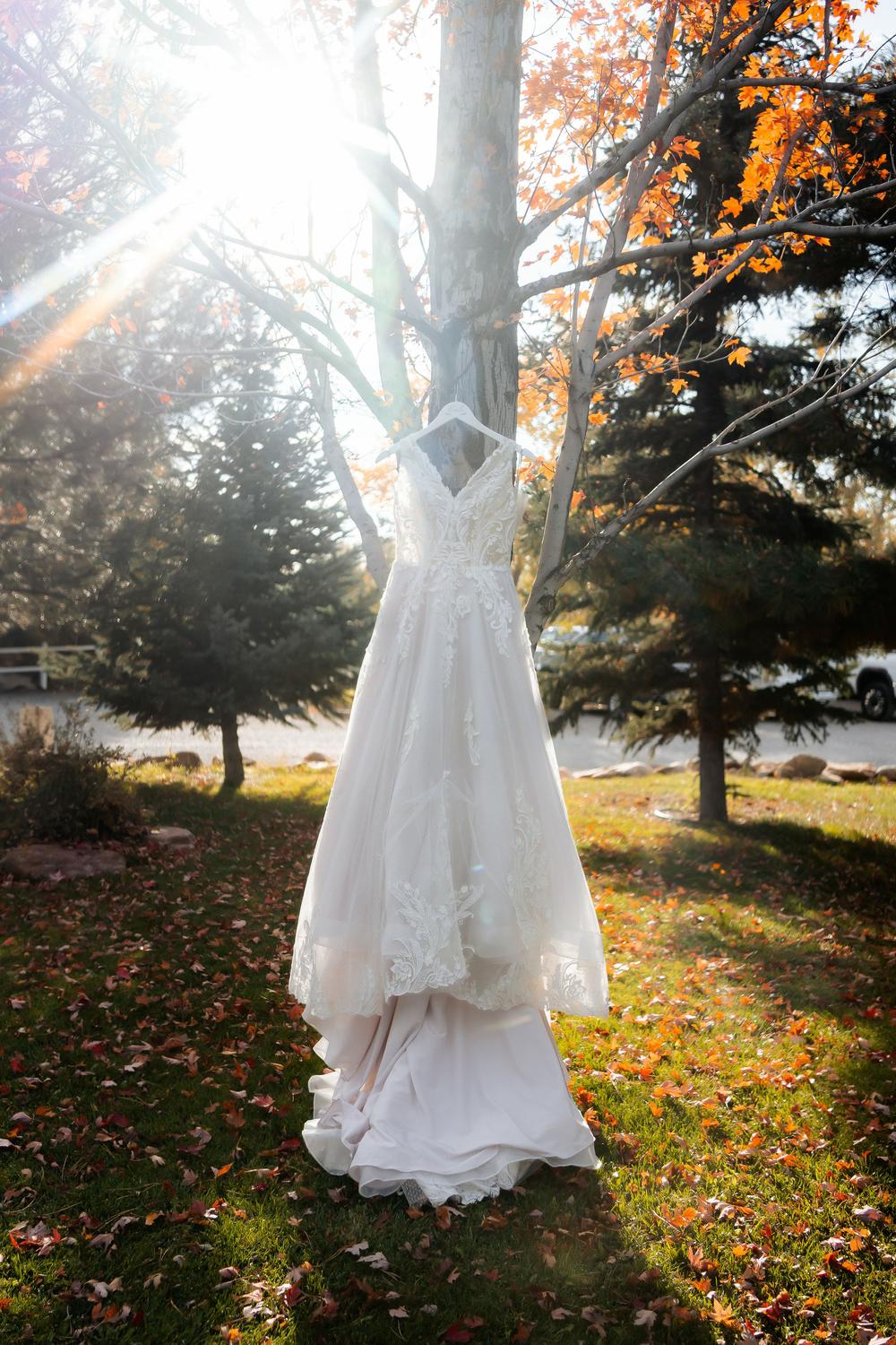 Aspen & Jack's Wedding wedding photography by Candid Studios