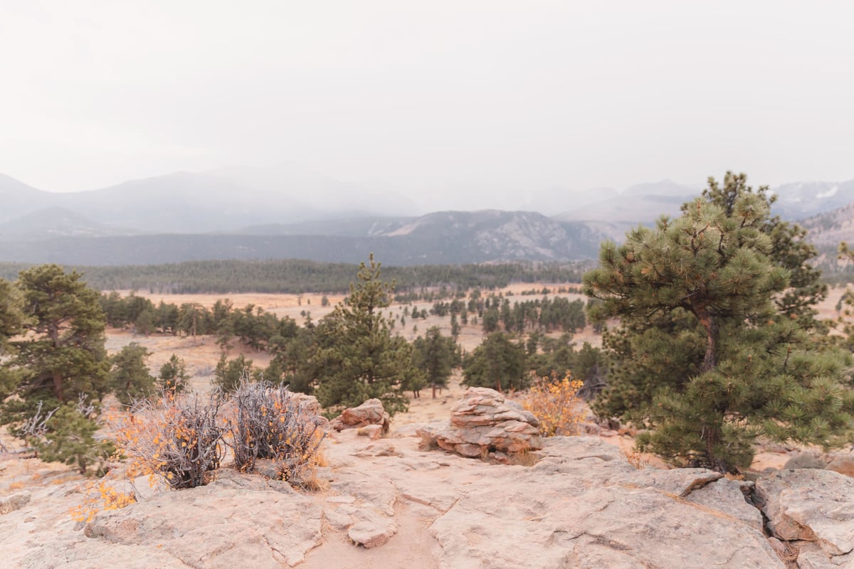 Donna & Rafael's Elopement wedding photo 2